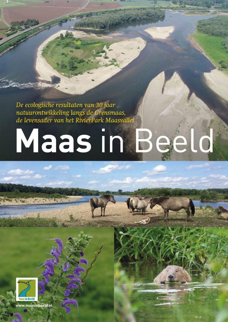 Rapport Maas in beeld